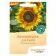 Saatgut  Sonnenblume La Torre