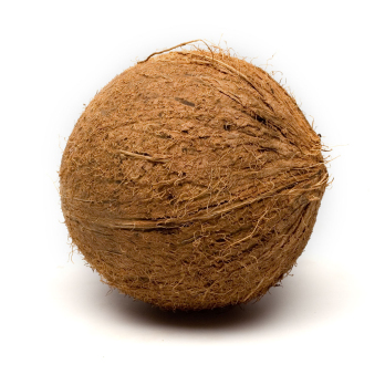 Kokosnuss ca.400g