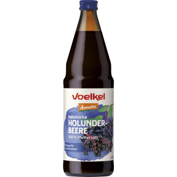 Heimische Holunderbeere