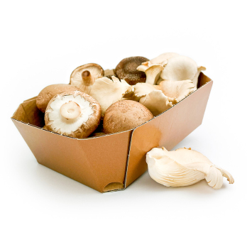 Pilz Mix 250g