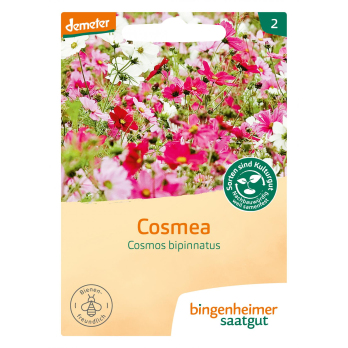 Saatgut  Cosmea
