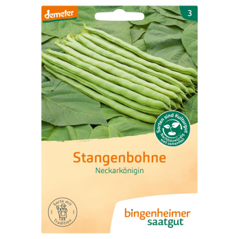 Saatgut  Stangenbohnen Neckarkönigin