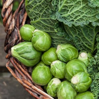 Baked-Rosenkohl mit Parmesan und Honig
