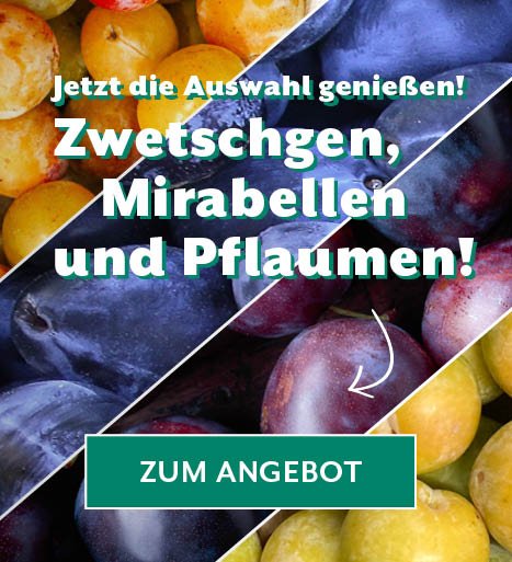 NOVUM – Das Bio-Obst- und Gemüseabo | NOVUM – Der Bio-Lieferservice