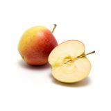 Apfel, Pinova Neue Ernte