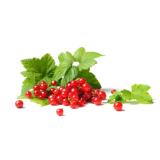 Johannisbeeren rot 250g