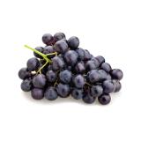Trauben blau Muscat