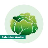 Salat der Woche: Batavia rot