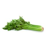 Staudensellerie 500g