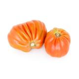 Tomaten Ochsenherz