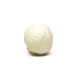 Weißkohl  ca.1kg