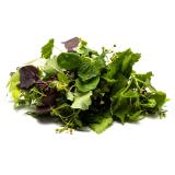 Wildkräuter 100g