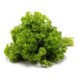 Petersilie kraus, Bund