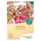 Saatgut  Cosmea