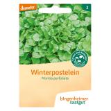 Saatgut  Winterpostelein