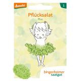 Saatgut  Pflücksalat Piro