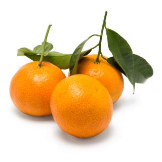 Clementinen mit Blatt