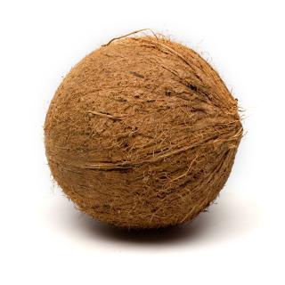 Kokosnuss ca.400g