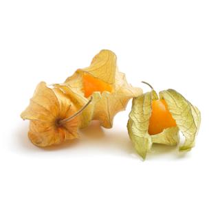 Physalis (Kapstachelbeere)
