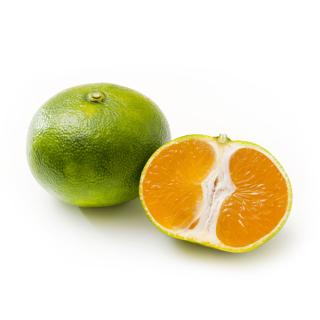 Satsumas grünlich