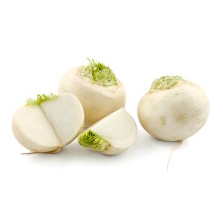 Mairübchen weiß