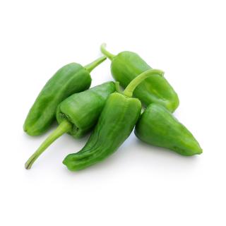 Paprika Bratpaprika grün "Padron"