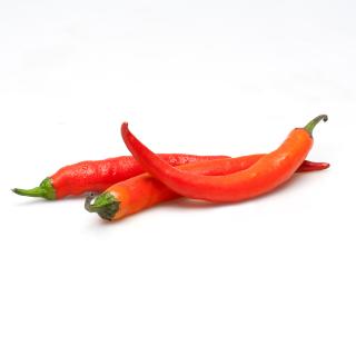 Peperoni, rot