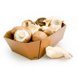 Pilz Mix 250g