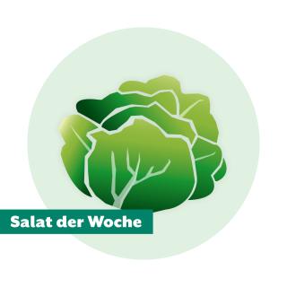 Salat der Woche: Batavia rot