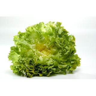 Salat Endivien