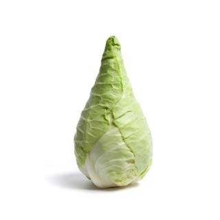 Spitzkohl  Neu Ernte ca.700g