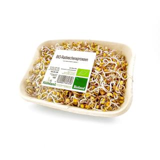 Sprossen, Radieschensprossen samenfest