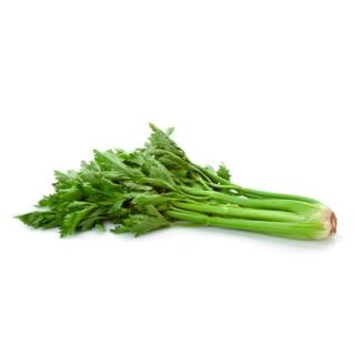 Staudensellerie 250g