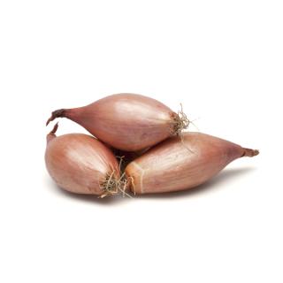Schalotten