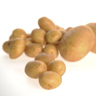 Kartoffeln Drillinge festkochend