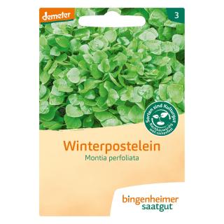 Saatgut  Winterpostelein