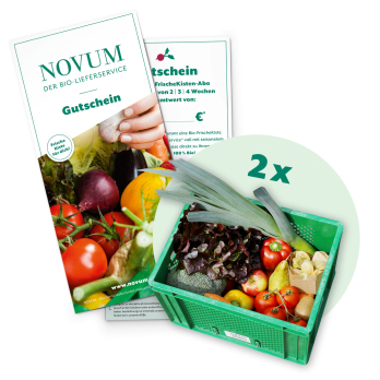 Bio-FrischeKiste-GS, 2 Wo