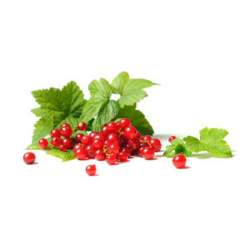 Johannisbeeren rot 250g
