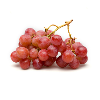 Trauben rot Red Globe