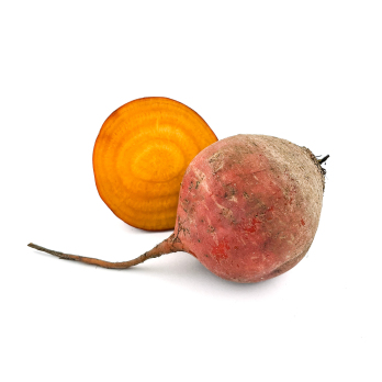 Gelbe Bete Neue Ernte