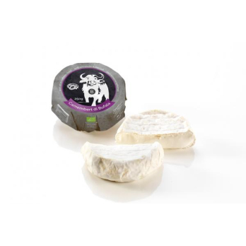 Der Büffel Camembert di Bufala