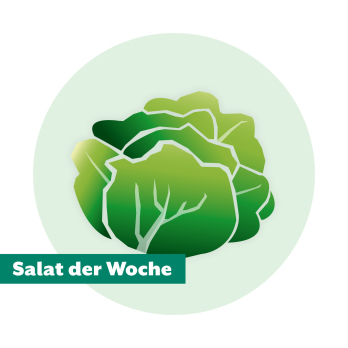 Salat der Woche: Batavia rot