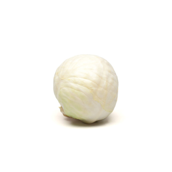 Weißkohl neue Ernte Frühlingsweißkohl ca.1,2kg
