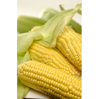 Zuckermais vakuum 2Stück