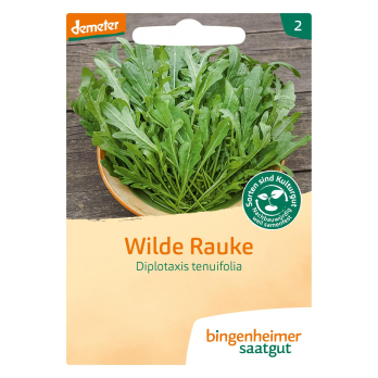 Saatgut  Rucola Wilde Rauke