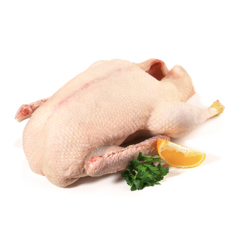 Gans ca.4kg